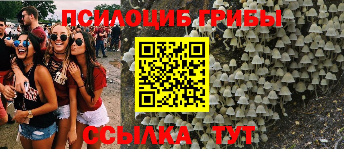 Псилоцибиновые грибы Cubensis Бутурлиновка